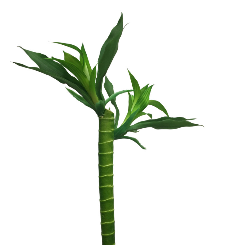 Simulated Bamboo 2216-00 (1)mha