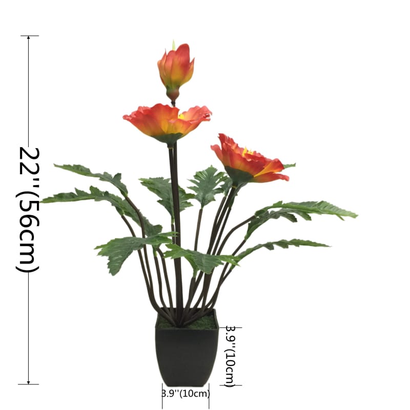 2119   2花1蕾罂粟花盆景-tuya.jpg