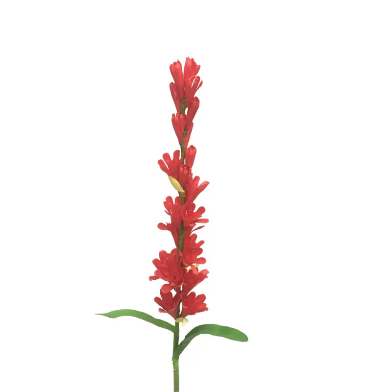 Leading Rubber Tuberose 6059-1 (11)bic