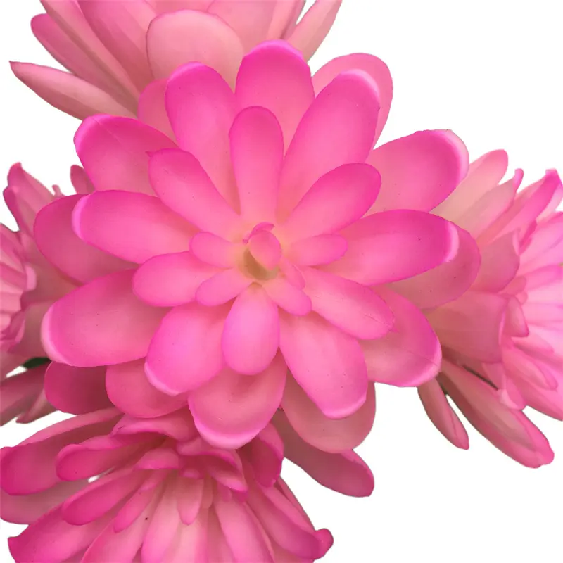 Leading Rubber Tuberose 6279 (7)maz