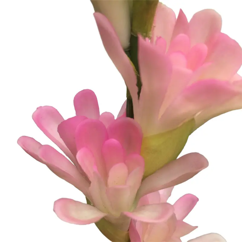 Leading Rubber Tuberose 6059-1 (7)60n