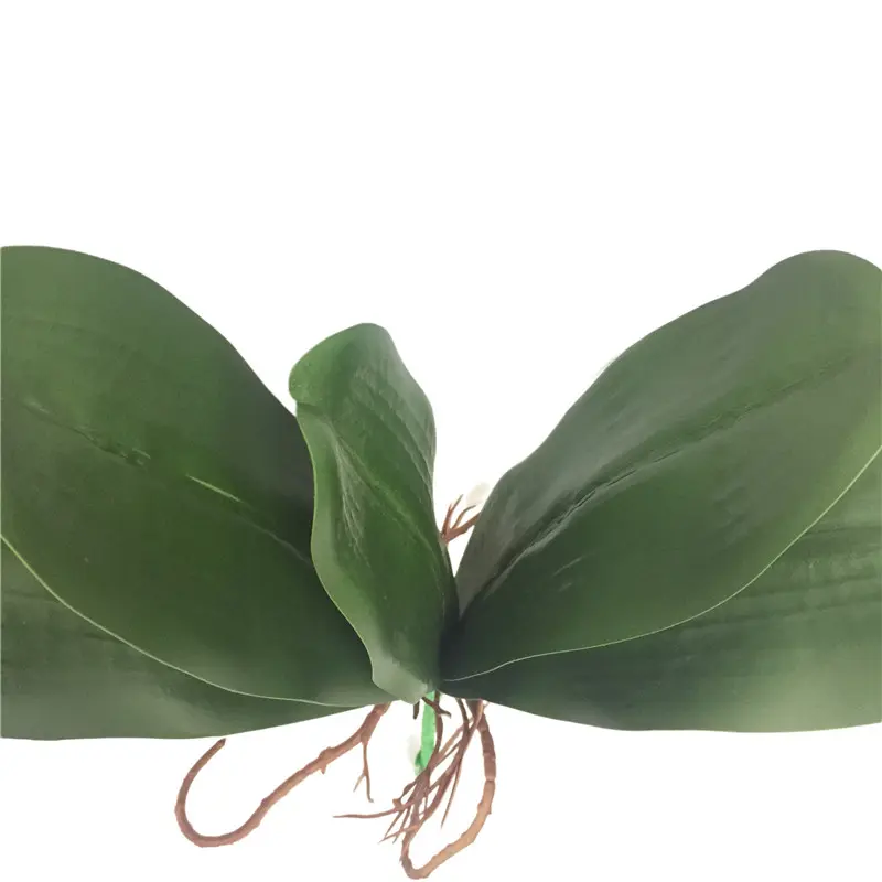 Factory Direct Highly Simulated Butterfly Orchid Leaves02aod