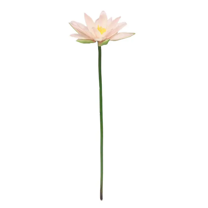 Factory Supplier of Lotus Flower: Waterproof, Environmentally Friendly