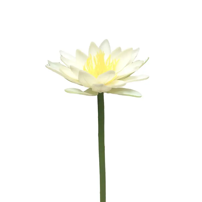 Factory Supplier of Lotus Flower: Waterproof, Environmentally Friendly