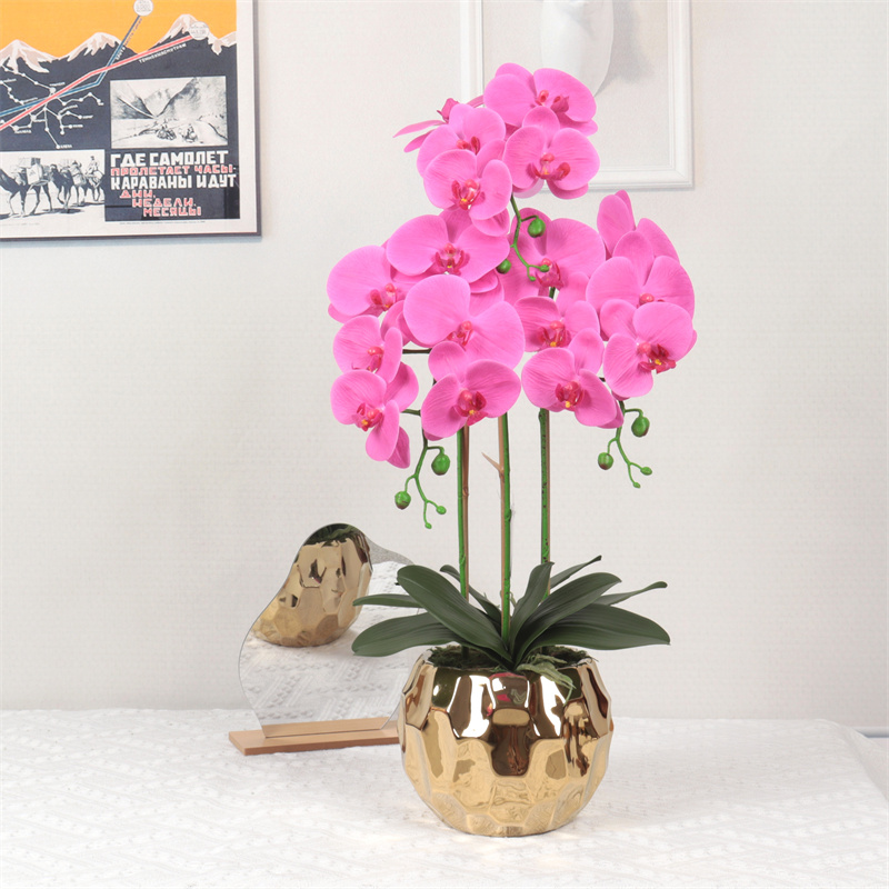 Factory Supplier of High-Quality Phalaenopsis Artificial Flower5gw4