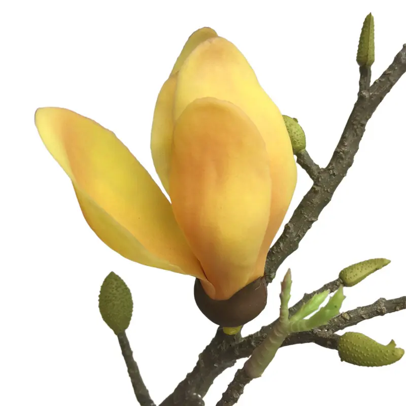 Direct Simulated Magnolia-6077 (5)7na