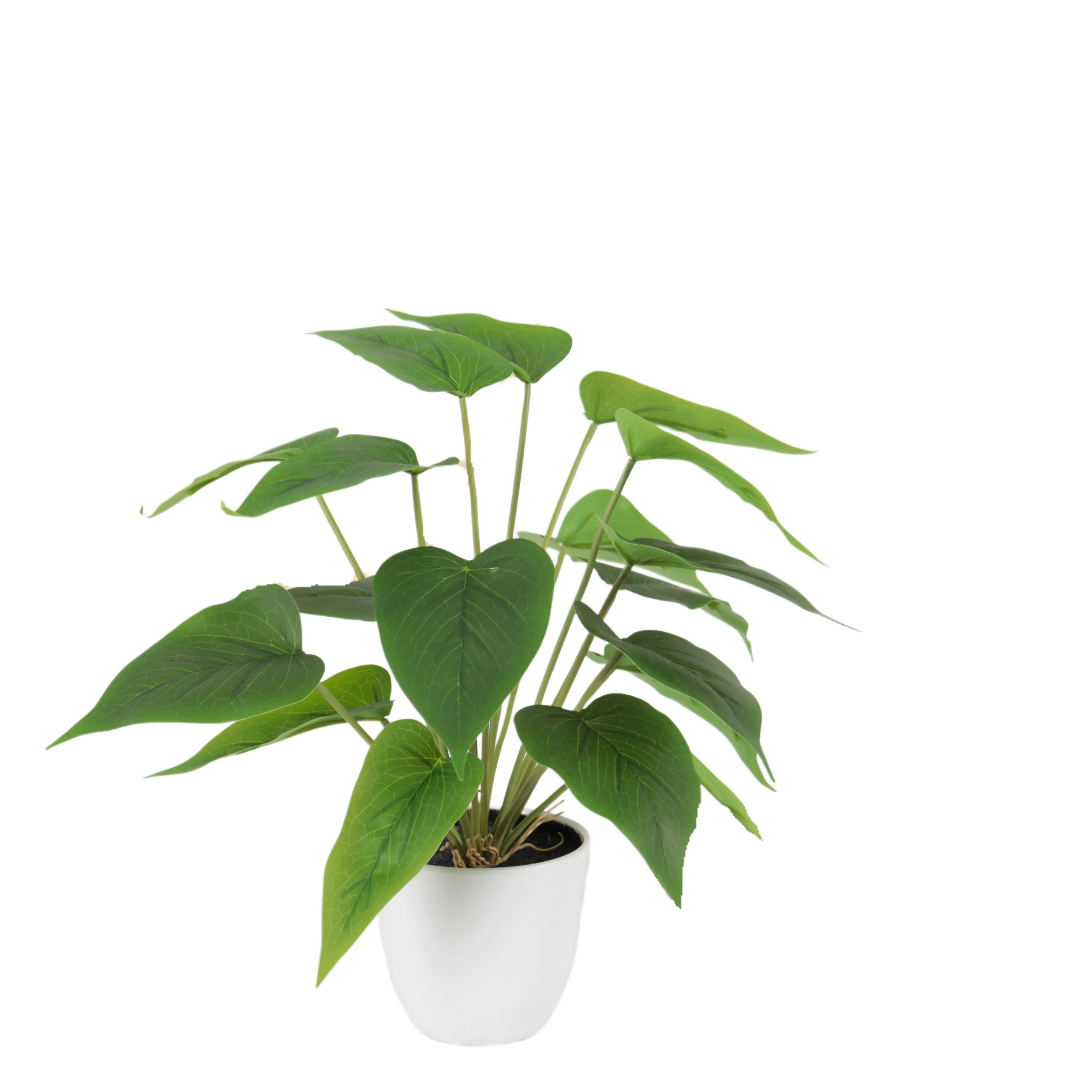 Sweet Potato Leaves Anthurium Leaf Leading Manufacturer of Waterproof Calla Lily Leaf