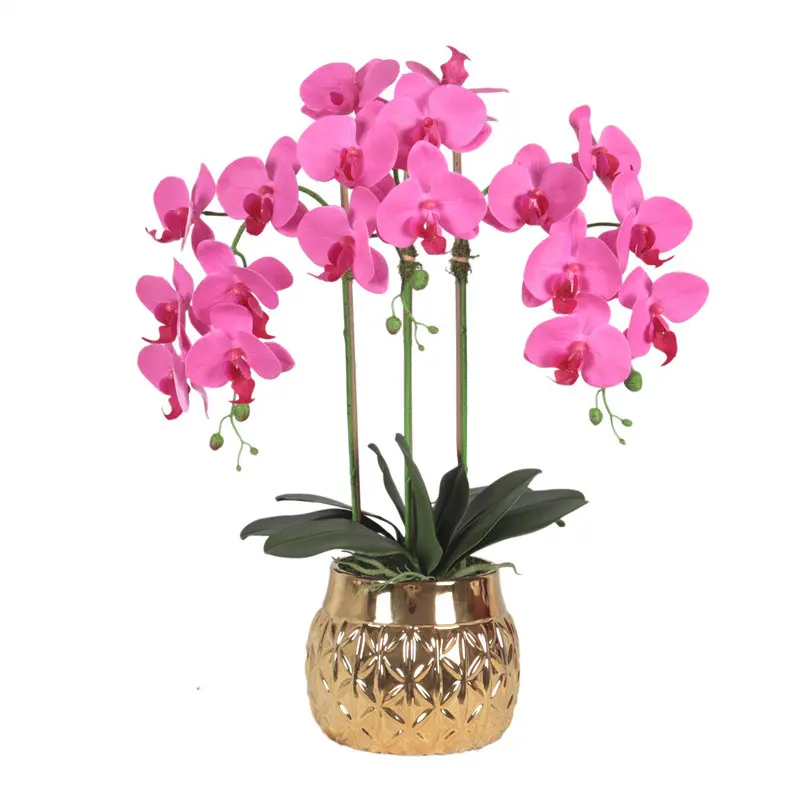 Factory Supplier of High-Simulation Phalaenopsis Bonsai