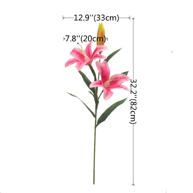 Manufacturer and Supplier of Tiger Orchids