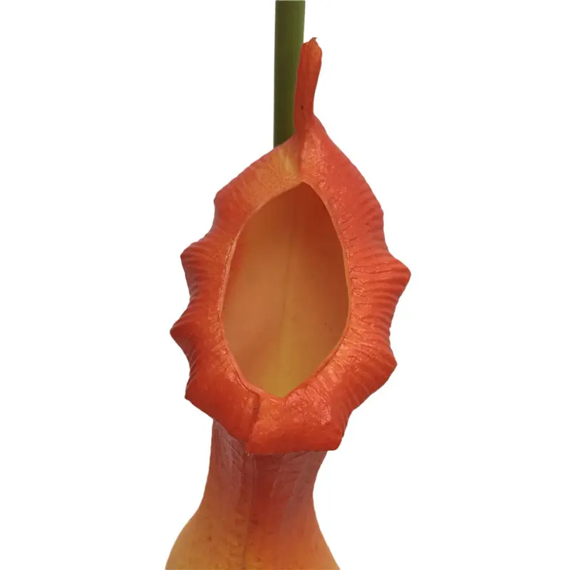 PVC pitcher plants 6033 (7)45c