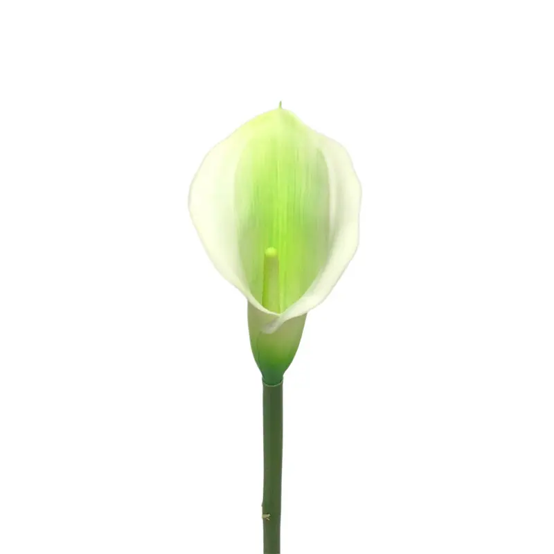 Manufacturers of Non-Fading Calla Lily Bonsai with Natural Simulation02nul