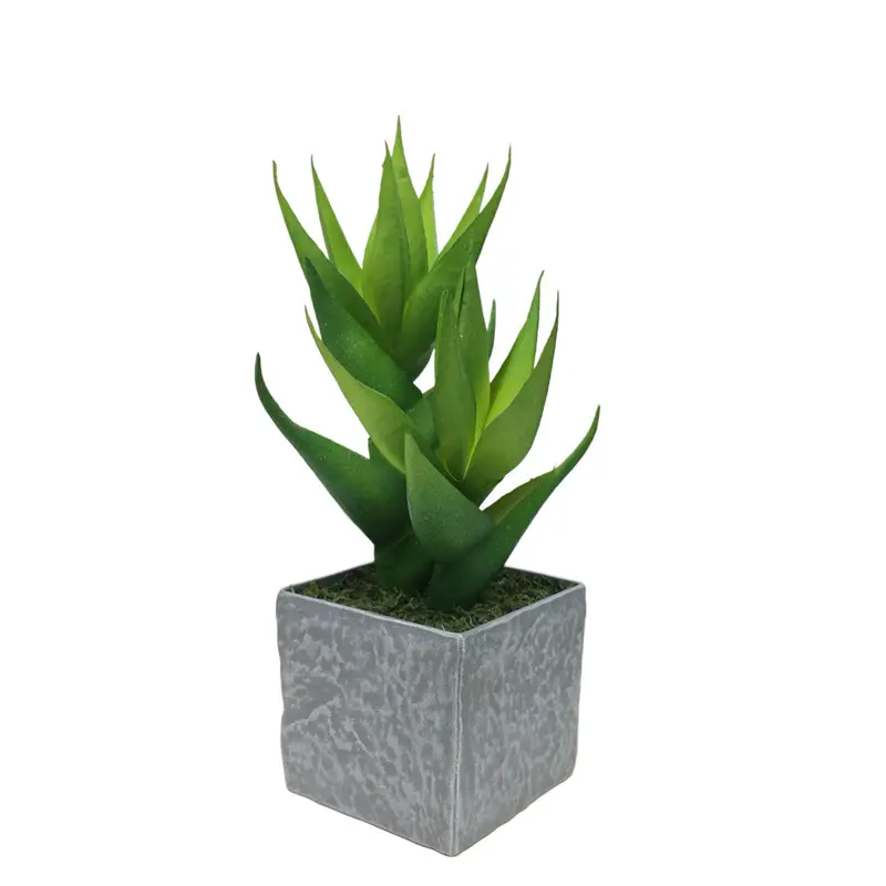 Natural Simulation Fire Phoenix Bonsai - Factory Wholesale