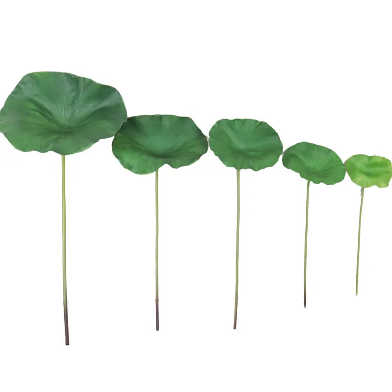 Simulated Lotus Leaf: Factory-Made Beauty