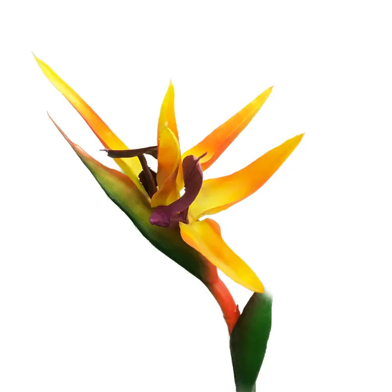 High Simulation PVC Bird of Paradise Bonsai14101