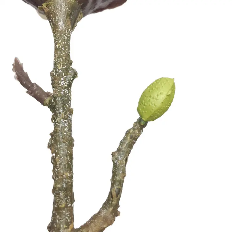 Fabric Bonsai 3333 (4)755