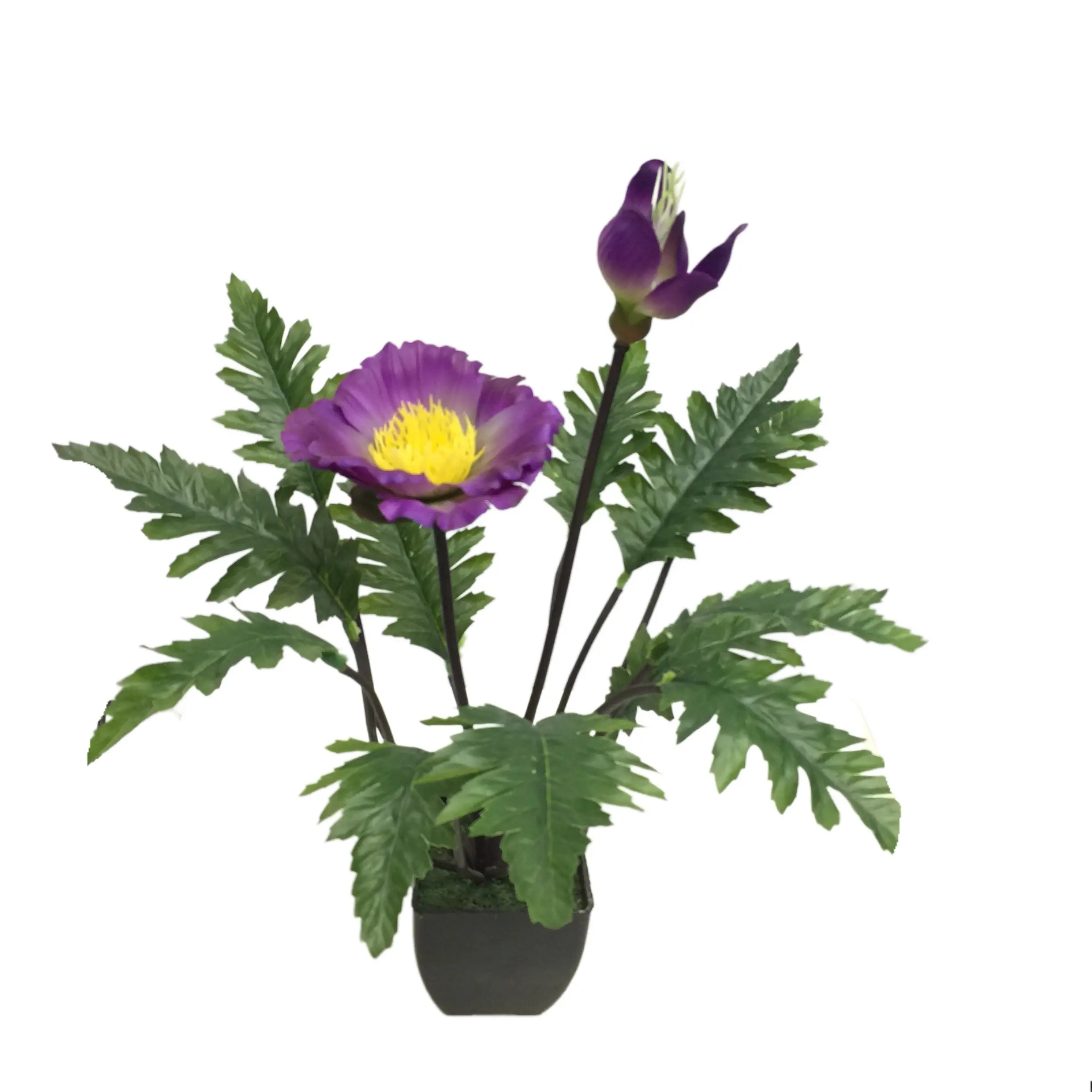 Natural Simulation Artificial Poppy