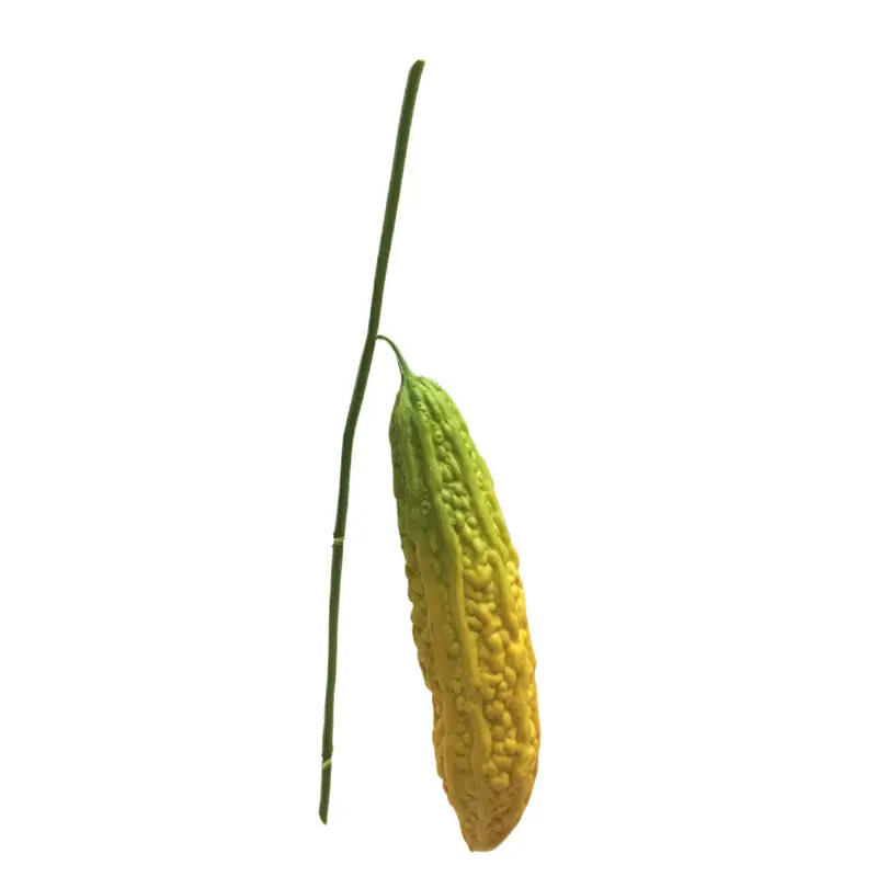 Simulated Bitter Melon 2 (3)wpr