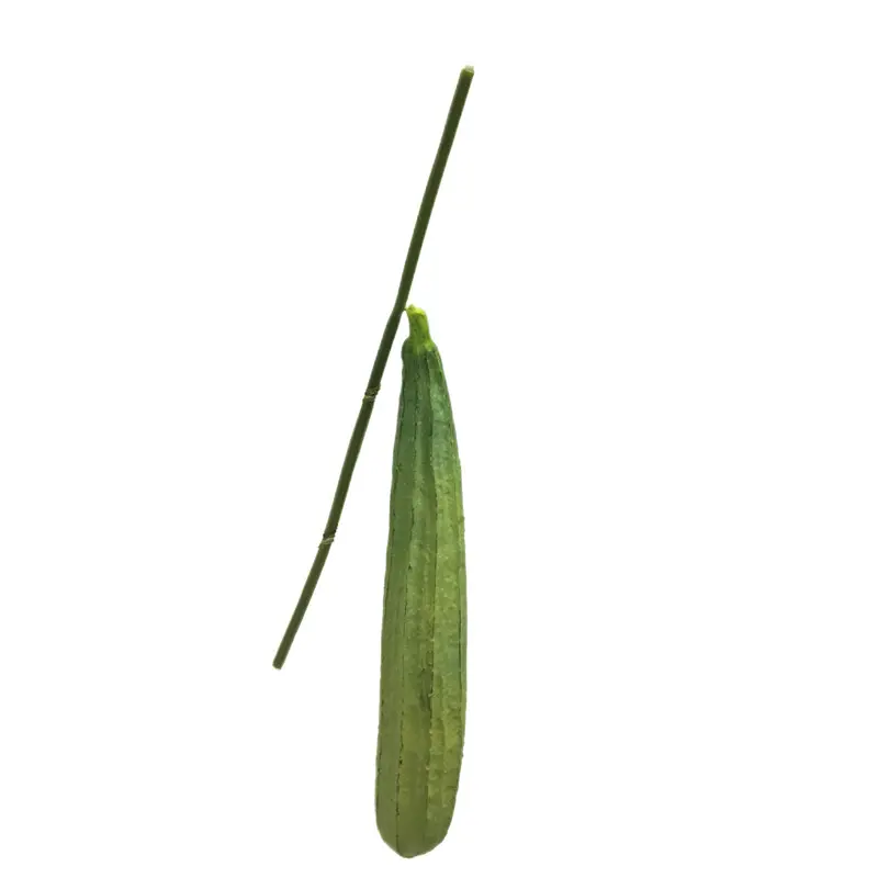 High-Quality PU Simulated Loofah Manufacturers
