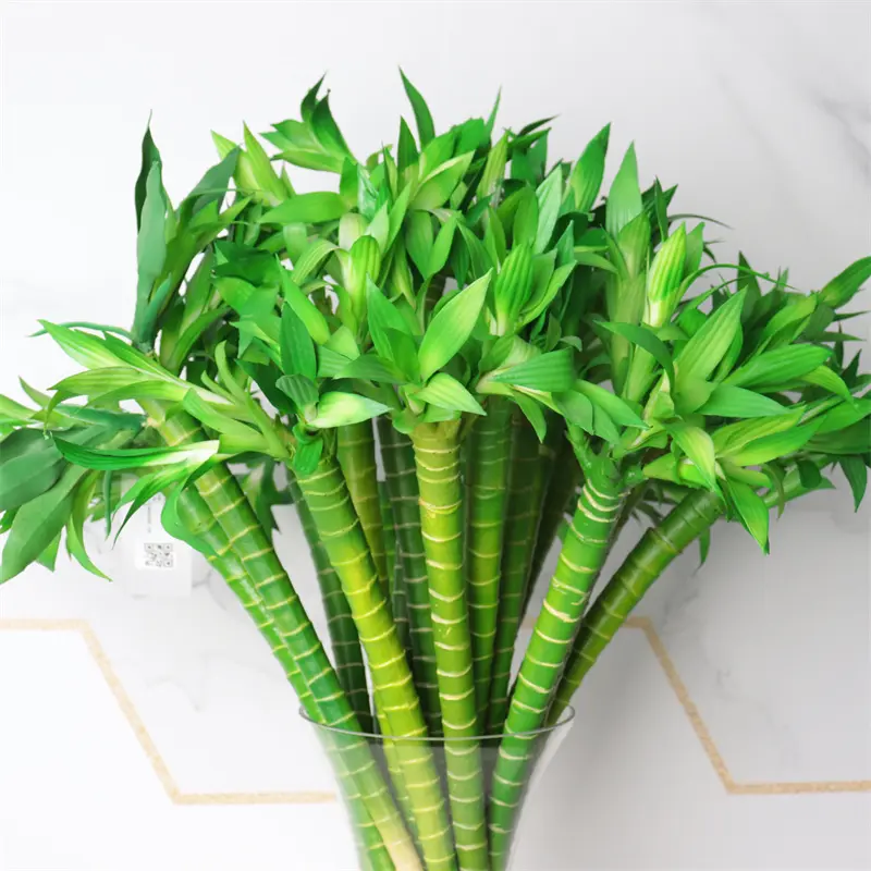 Simulated Bamboo 2000 (1)njy