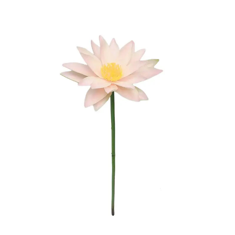 Factory Supplier of Lotus Flower: Waterproof, Environmentally Friendly