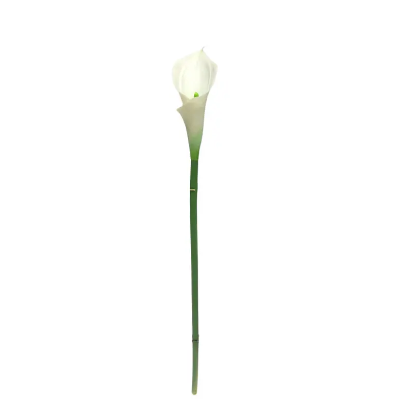 Manufacturer of Waterproof Calla Lily with Natural Simulation