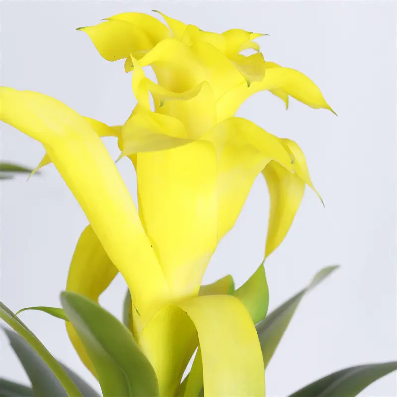 Manufacturer of Quality Simulation11vva