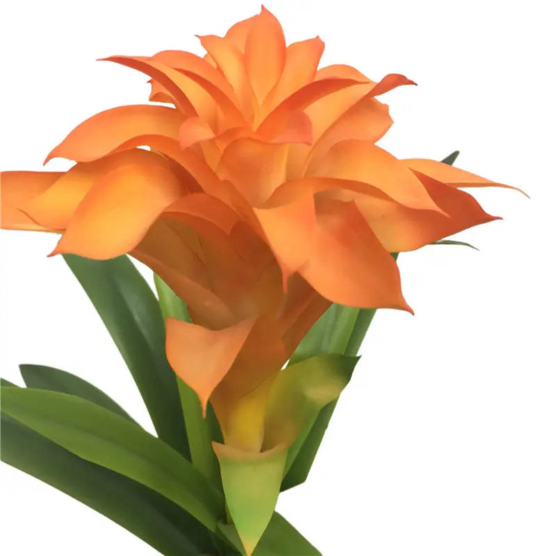 Manufacturer of Quality Simulation17nbe