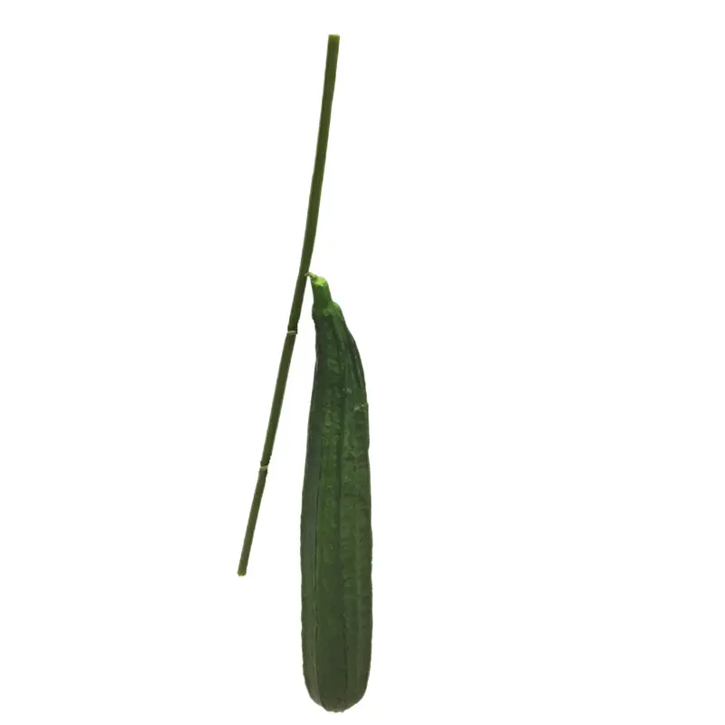 High-Quality PU Simulated Loofah Manufacturers