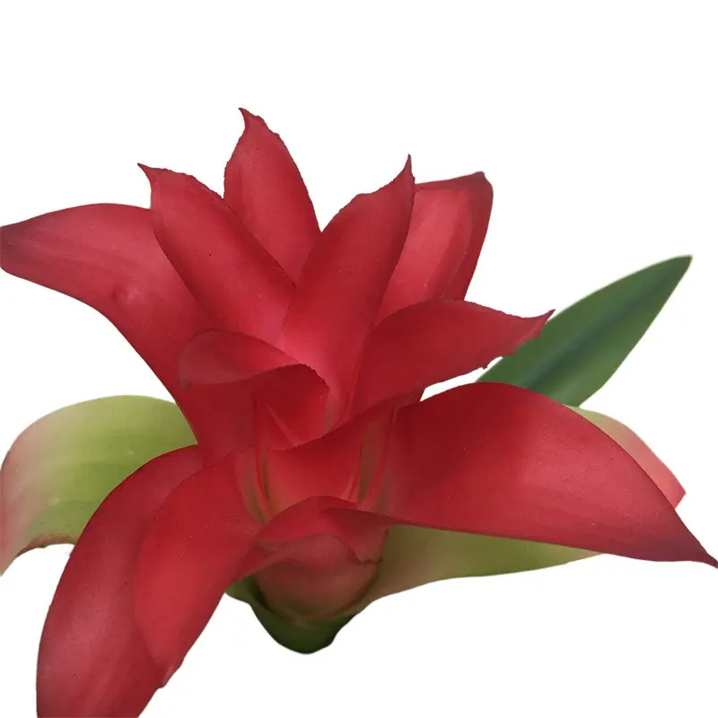 Manufacturer of Quality Simulation127koy