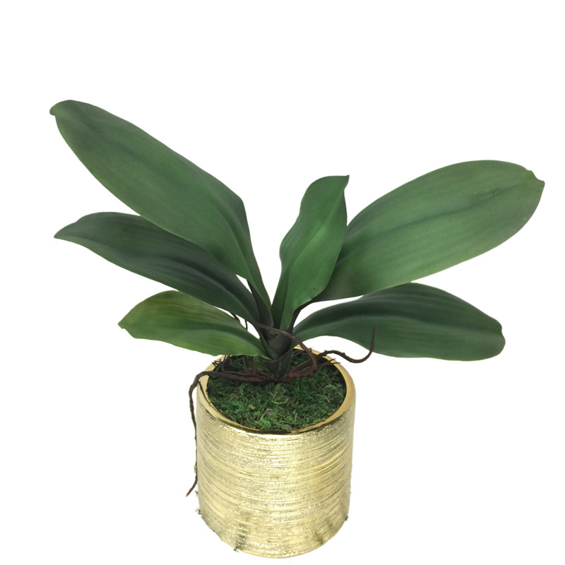 Factory Direct Highly Simulated Butterfly Orchid Leaves