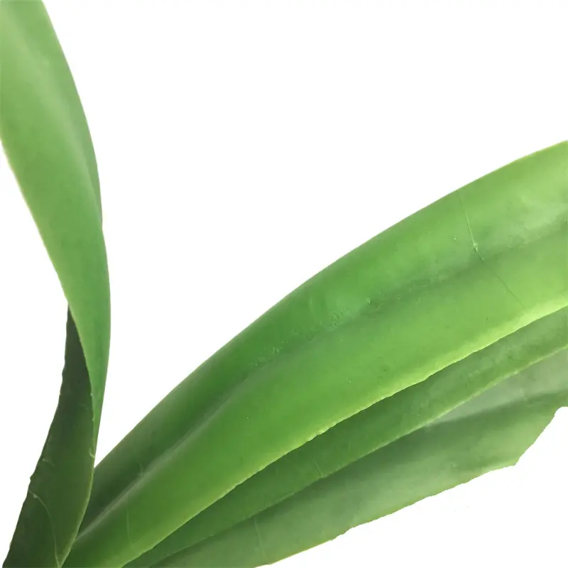 Real Touch Rubber Cymbidium Leaves 6046（1） (1)xaa