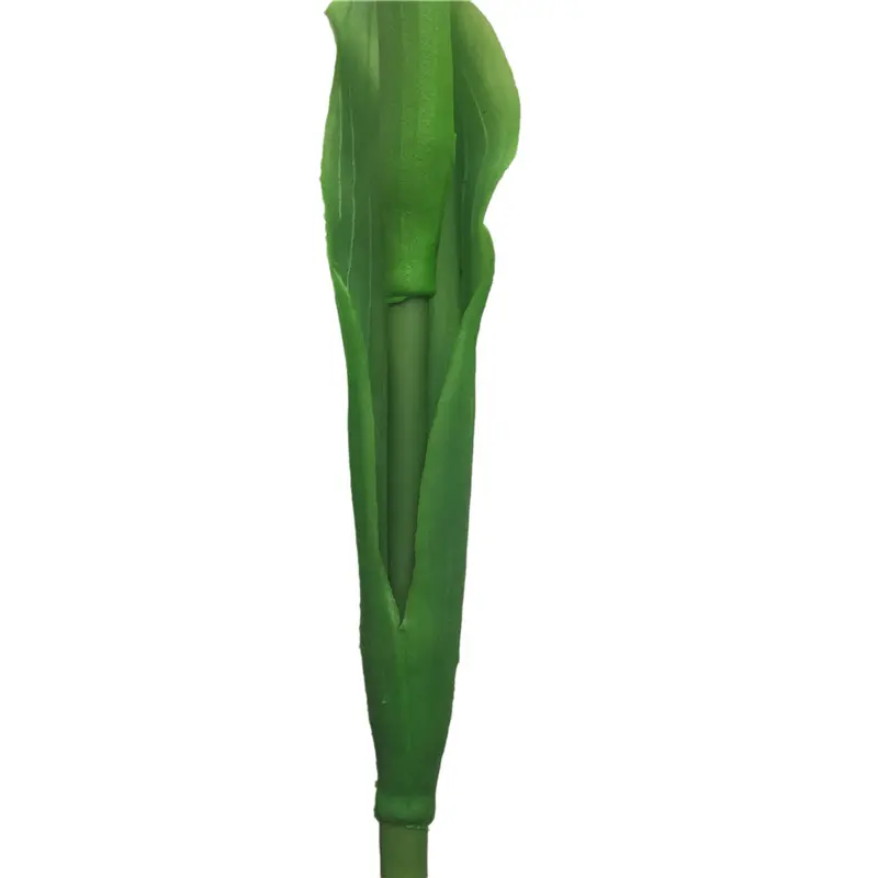 Long-Lasting Faux Tulips6t3u