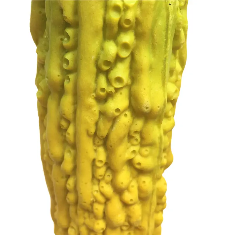 Simulated Bitter Melon 3 (3)tam