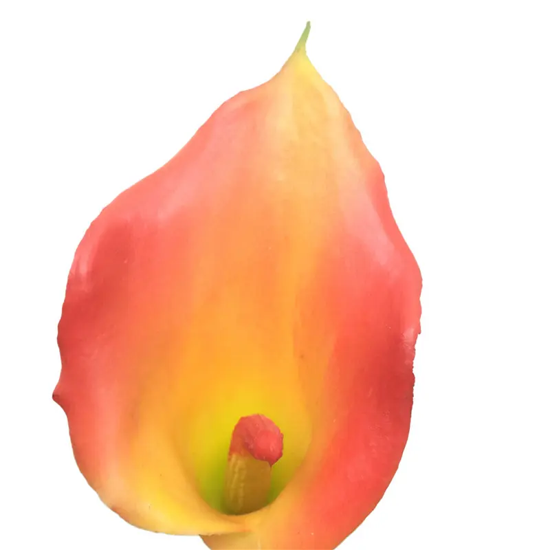 Manufacturers of Non-Fading Calla Lily Bonsai with Natural Simulation135hc