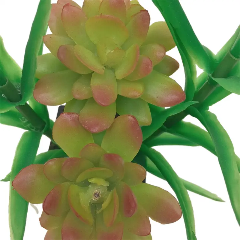 Simulation Snow Lotus 2063 (2)5ai