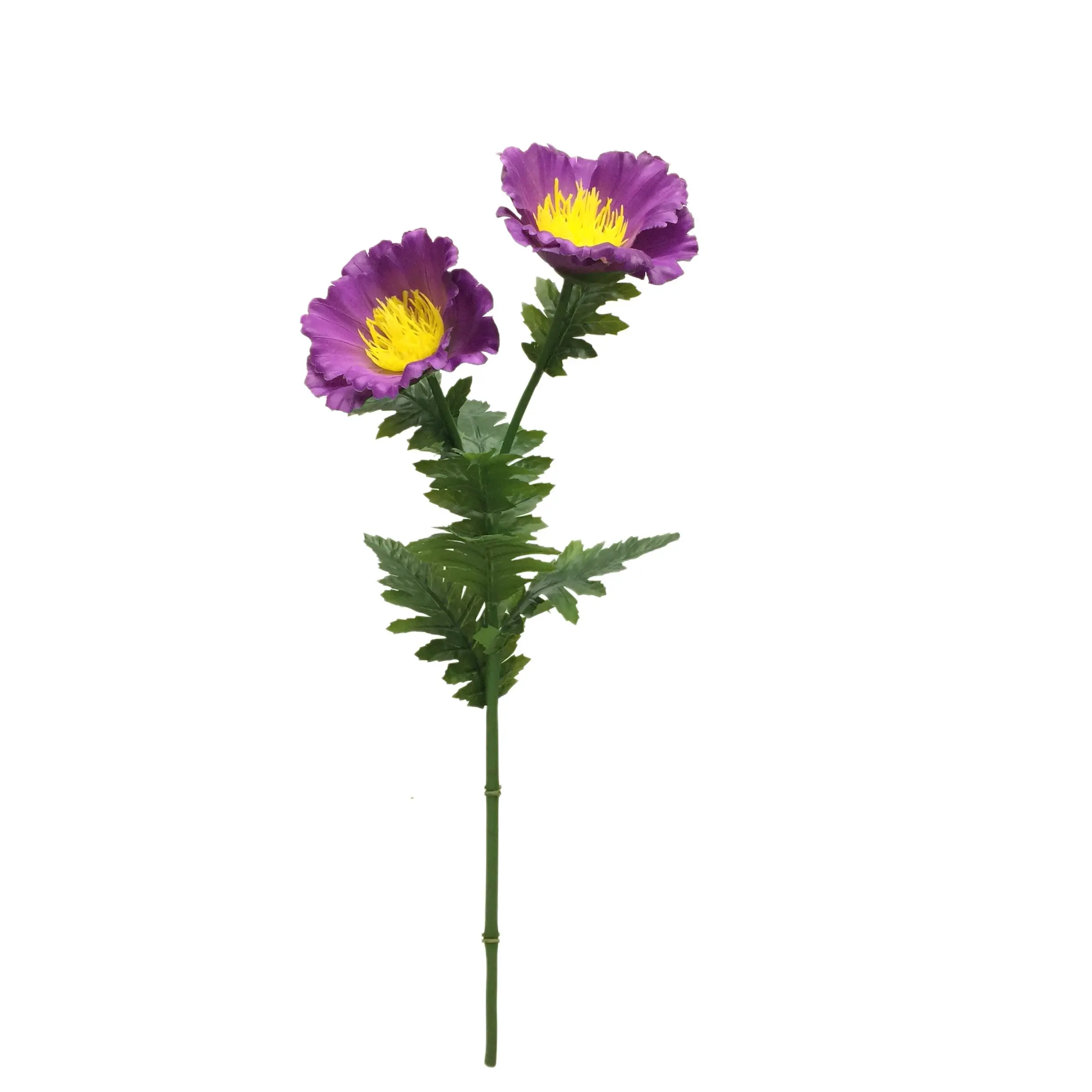 Natural Simulation Artificial Poppy