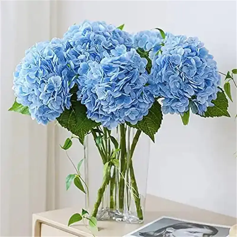 659e45efc4f4691064.webp