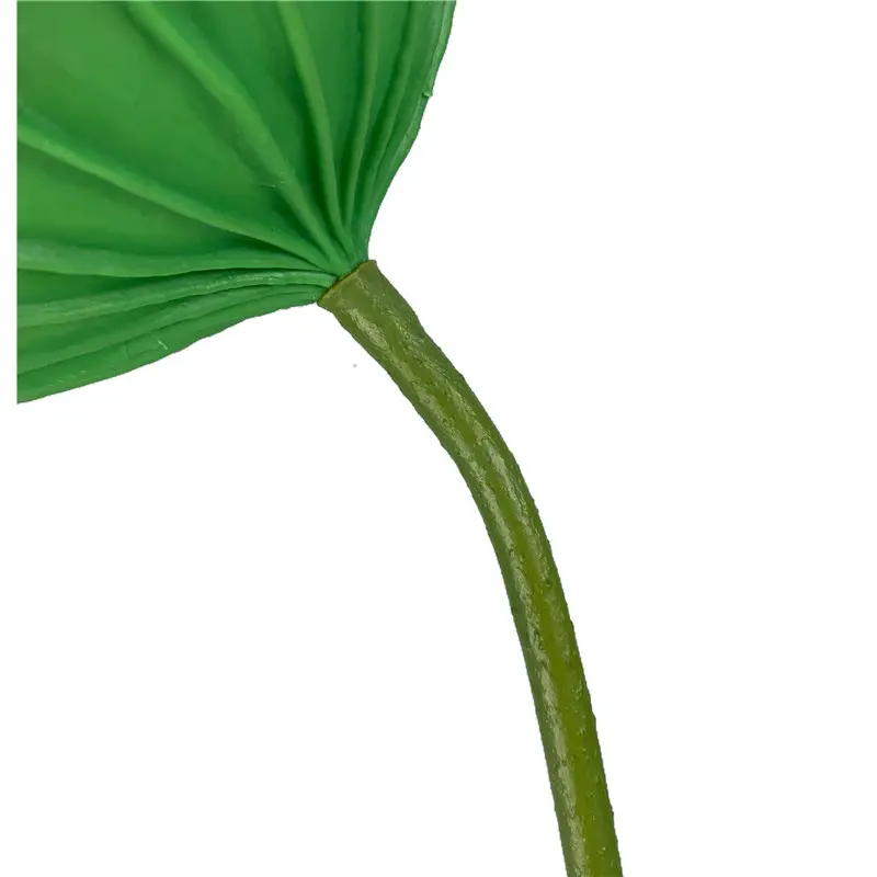 Simulated Lotus Leaf107ei6