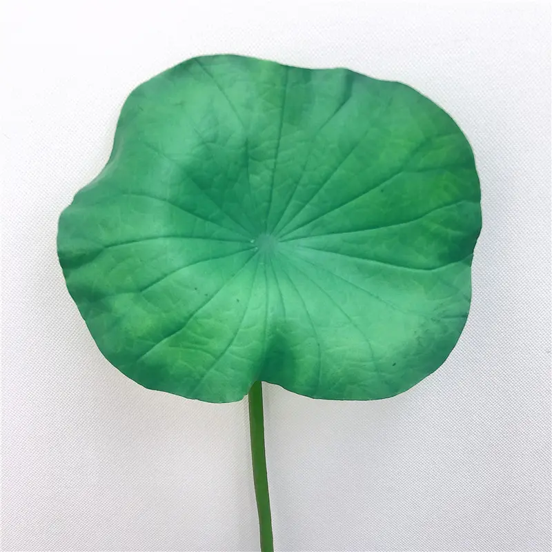 Simulated Lotus Leaf103cyc