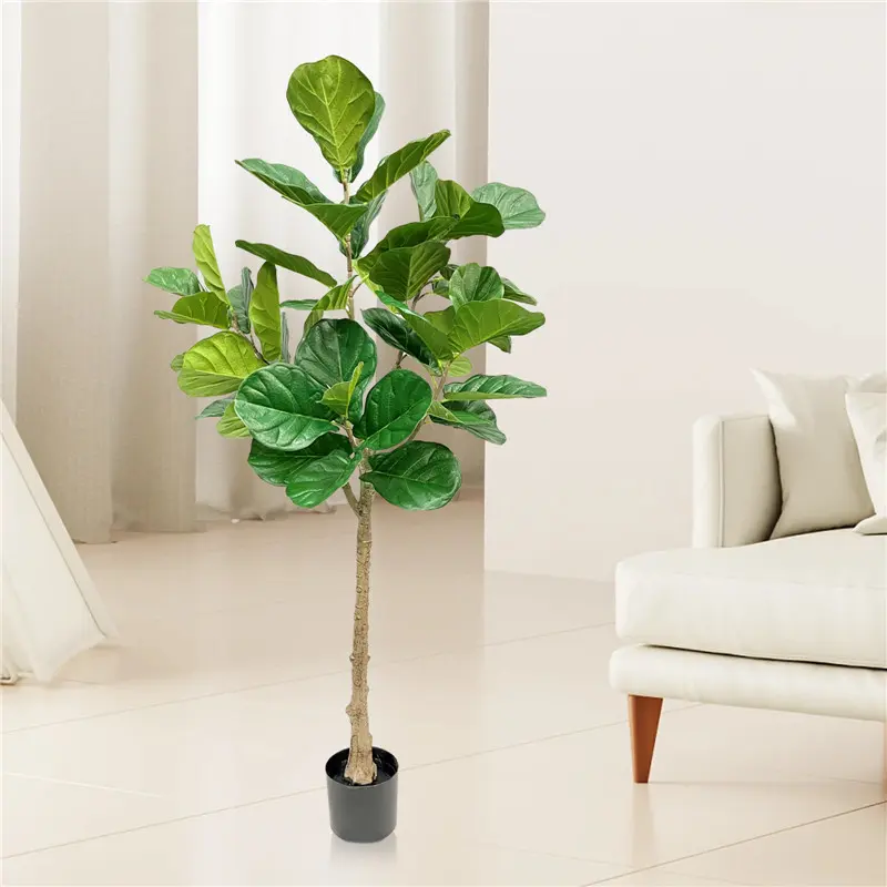 Manufacturing High-Quality Banyan Tree143tj