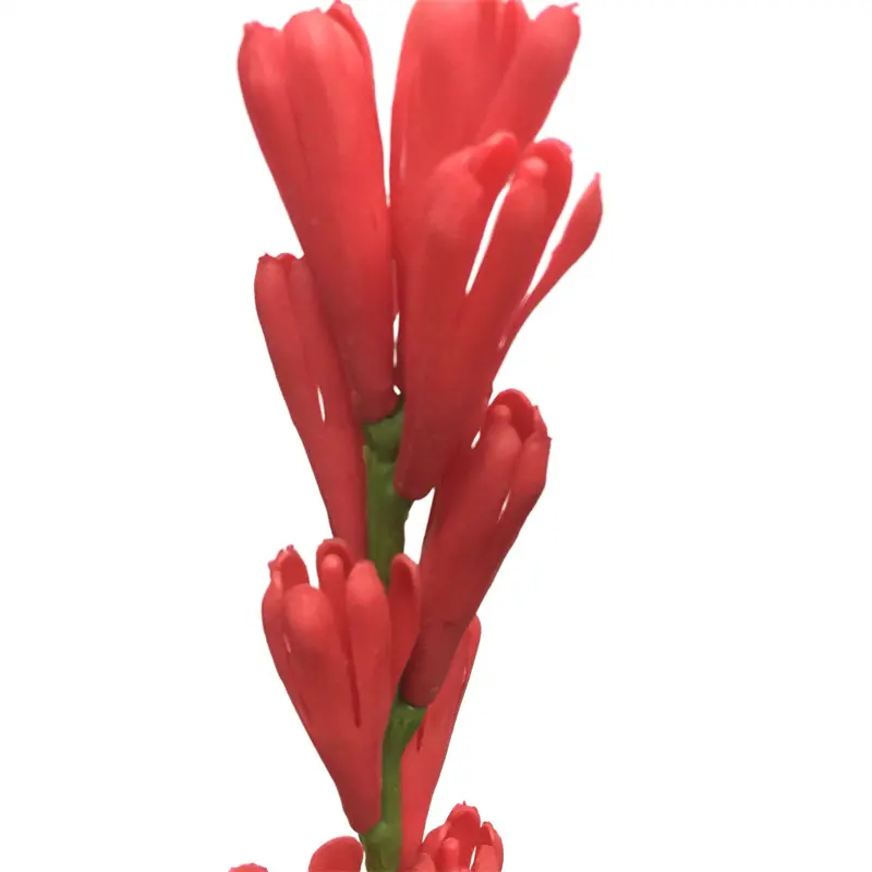 Leading Rubber Tuberose 6059-1 (10)8xf