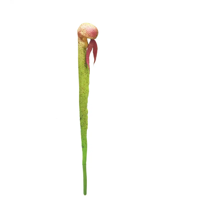 Factory-Direct Artificial Snakehead Orchids