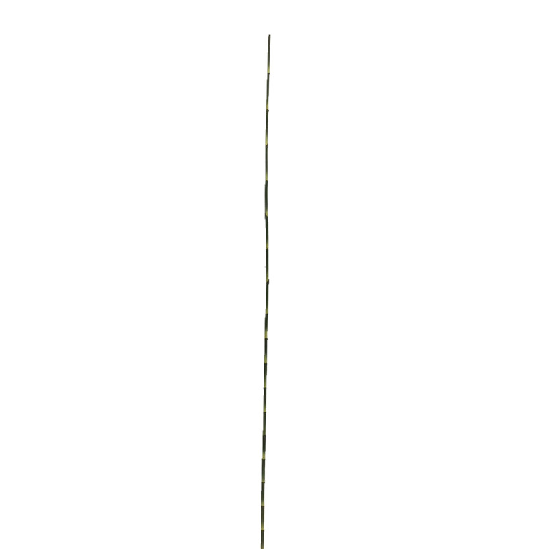 Premium Quality Simulated Bamboo Supplier