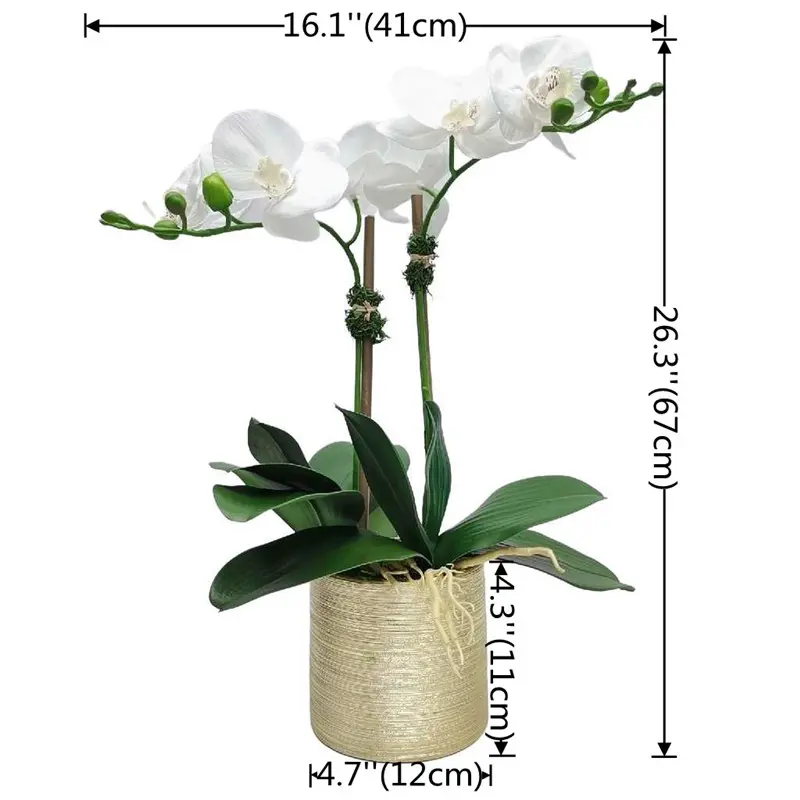Factory Supplier of High-Simulation Phalaenopsis Bonsai