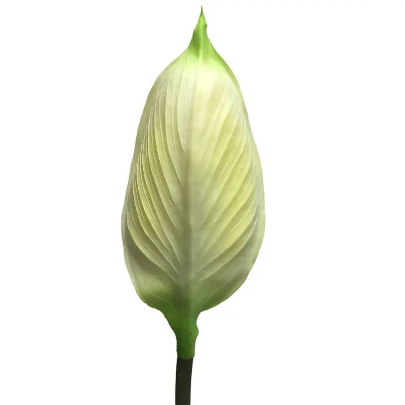 High Quality Simulation Flower Smooth Sailing Factory Supplier2s48
