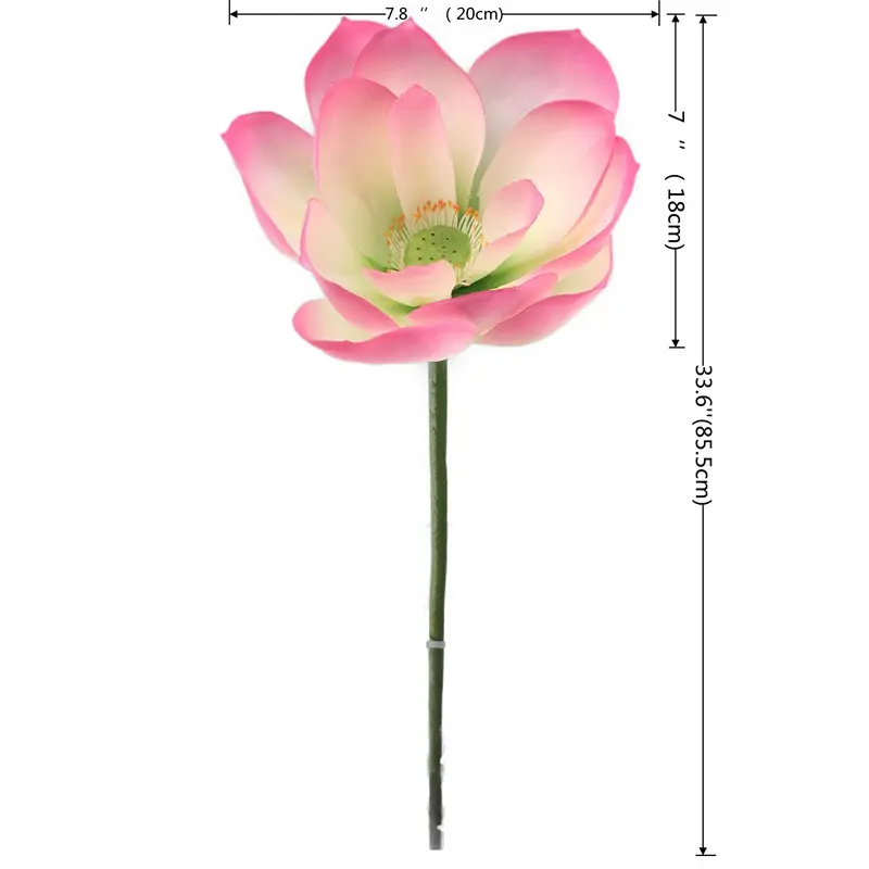 Lotus Flower Supplier for OEM