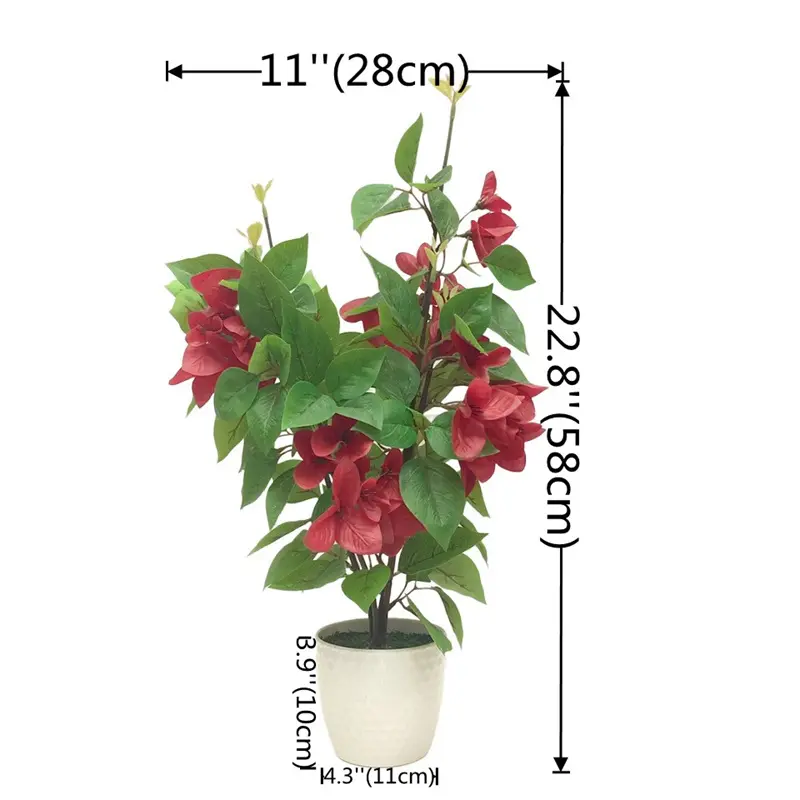 High Quality Delphinium Bonsai: Factory Direct Supplier