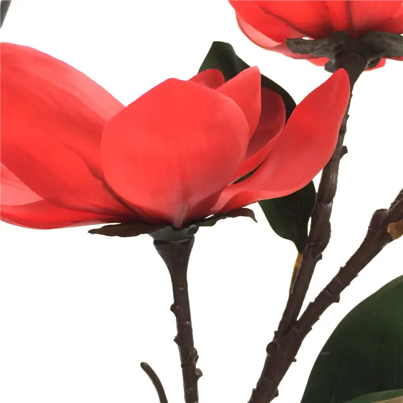 Direct Simulated Magnolia 6056 (2)f2b