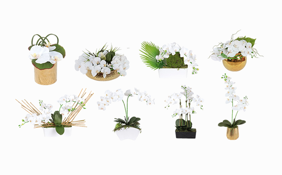 Customizable In Various Forms