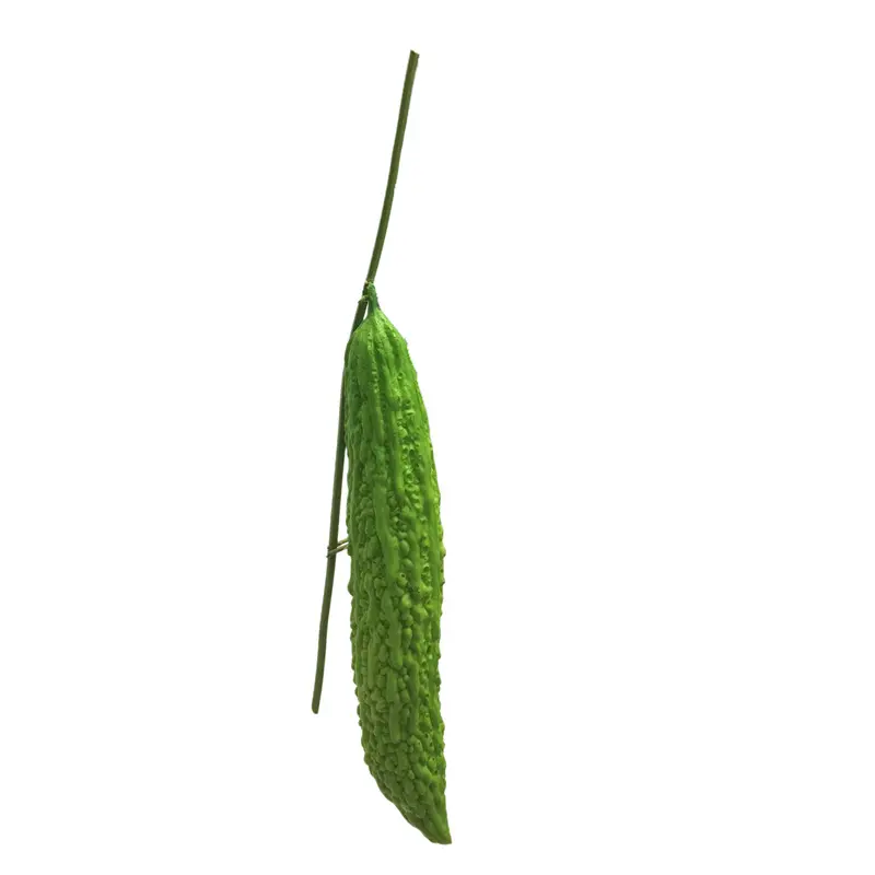 Simulated Bitter Melon: Natural Simulation Pu Manufacturing
